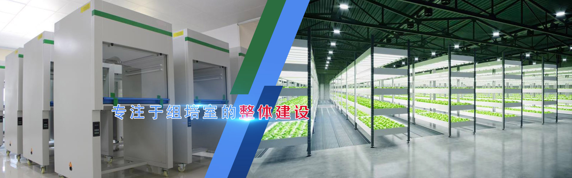 WWW.麻豆.COM、WWW.麻豆.COM架
