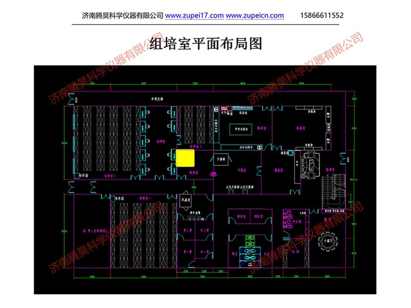 WWW.麻豆.COM室