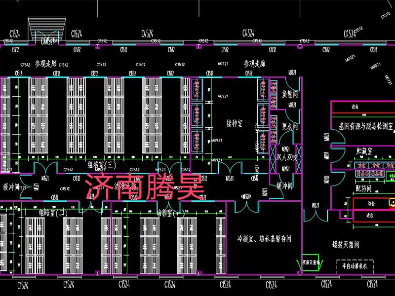 WWW.麻豆.COM  WWW.麻豆.COM室